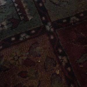 Meet your Posher, Leslie farr